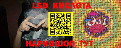 стаф Новодвинск