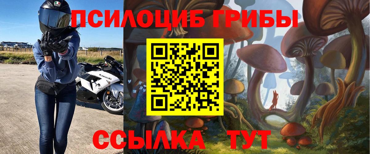 Псилоцибиновые грибы Cubensis Светлоград