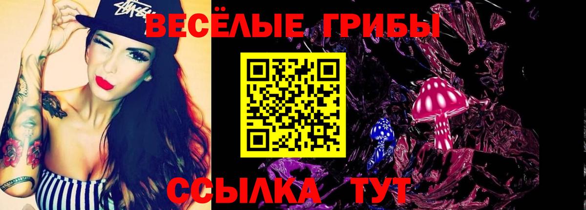 где купить наркоту  Вход с VPN  Светлоград  Псилоцибиновые грибы мухоморы 